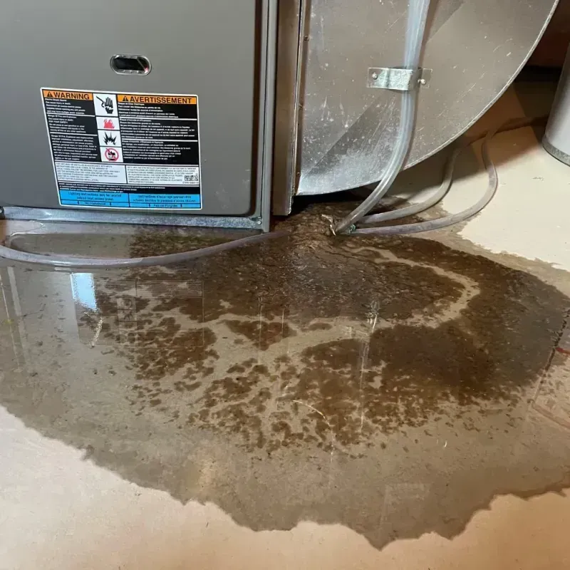 Appliance Leak Cleanup in Ferry Pass, FL